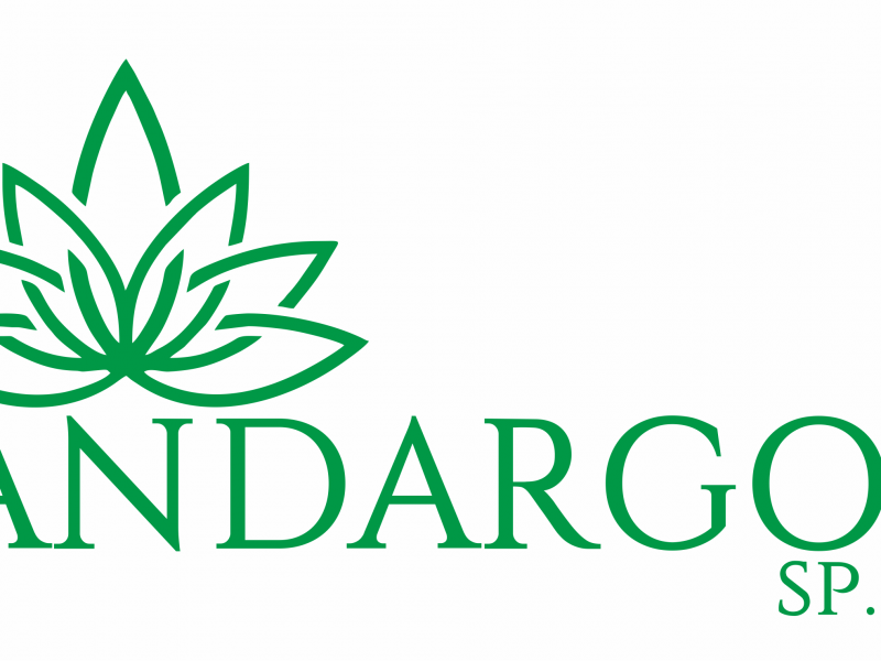 Identyfikacja wizualna, branding, logo.